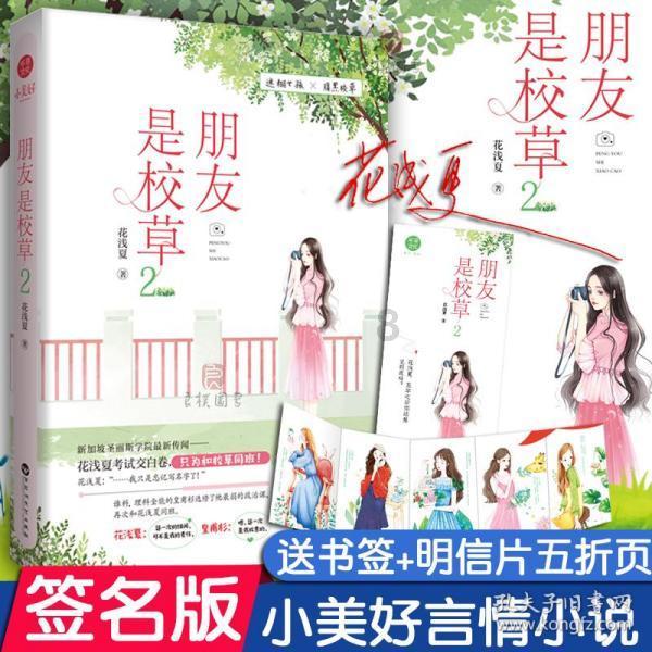 飞天小猪仔
