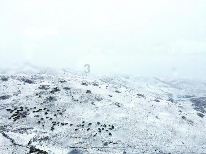 虎门地铁站坐地铁到广州南站要坐几号线？游戏画面
