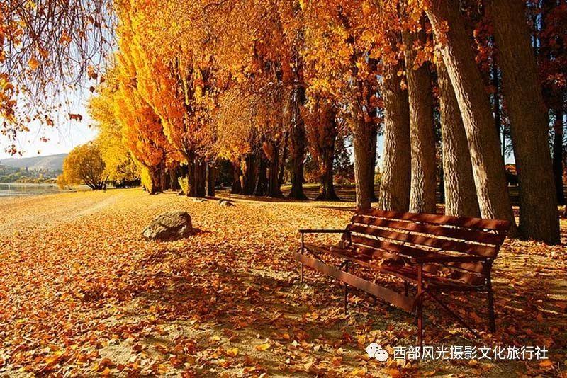 沪江开心词场