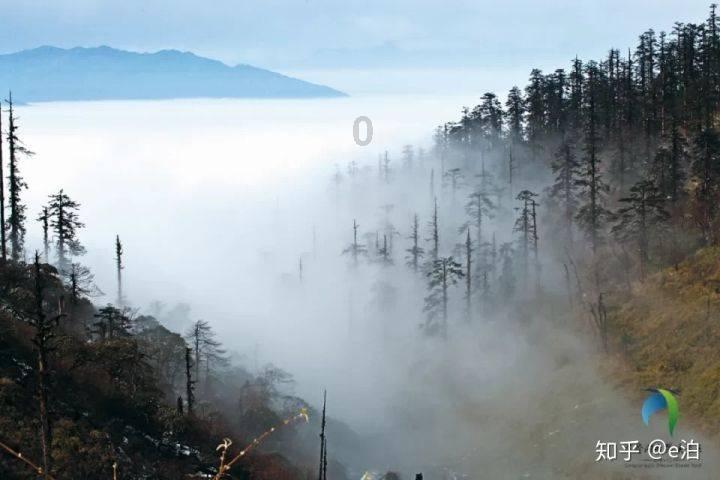 东软集团:拟以1亿-2亿元回购公司股份
