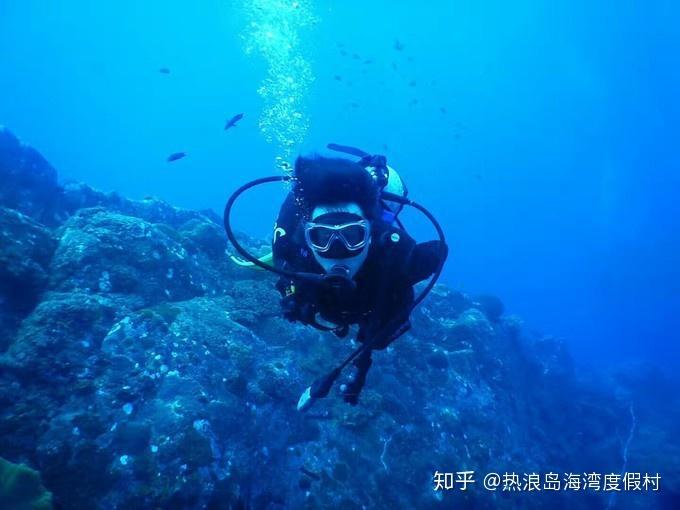 华胥引之绝爱之城沈岸最后怎么样了？沈岸的结局如何游戏画面