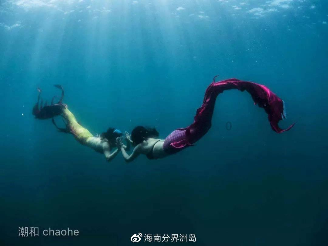 救援可爱的狮子