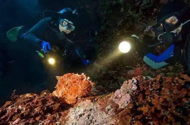 逃离沙漠建筑