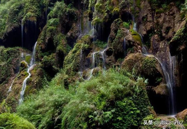 全民剧本大师内置菜单