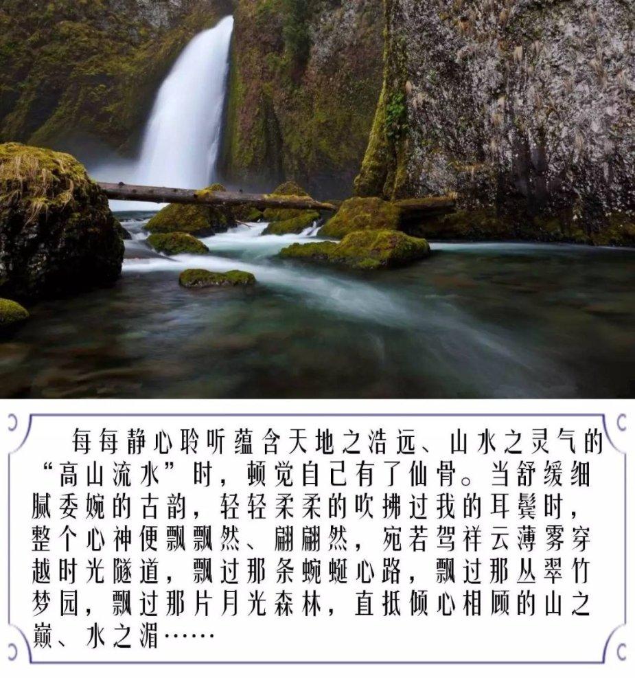 最银南 | 老白茶怎么煮,5个妙招超好喝