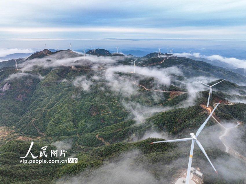 奥斯卡红毯秀