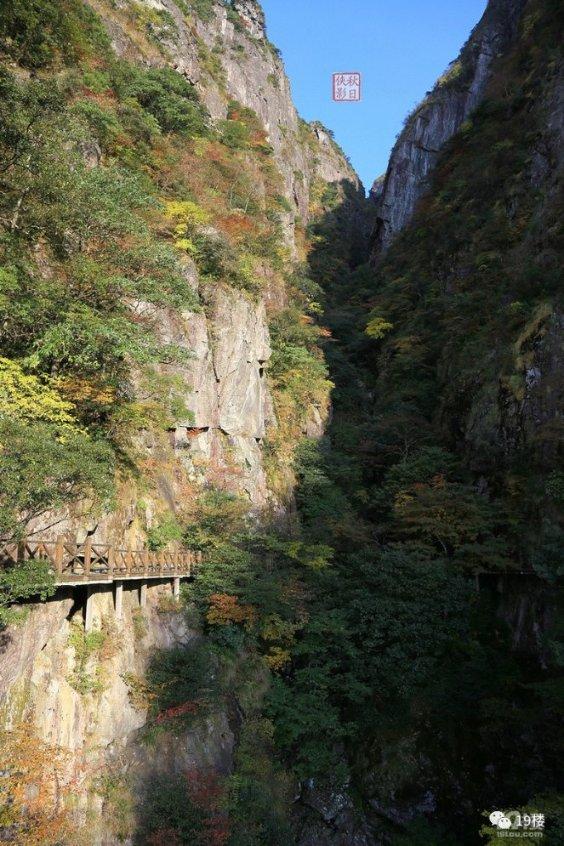 税惠浇灌 “长安花”越开越旺