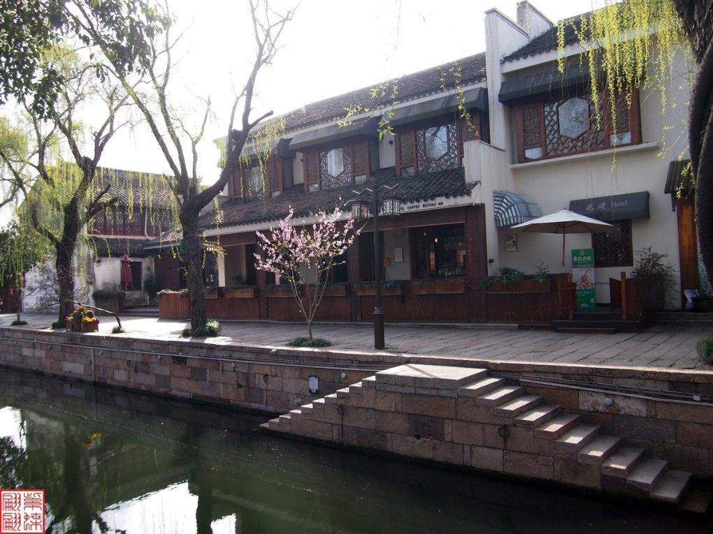 【要闻】阳朔镇开展“党建引领践初心 爱心义诊暖人心”主题党日活动