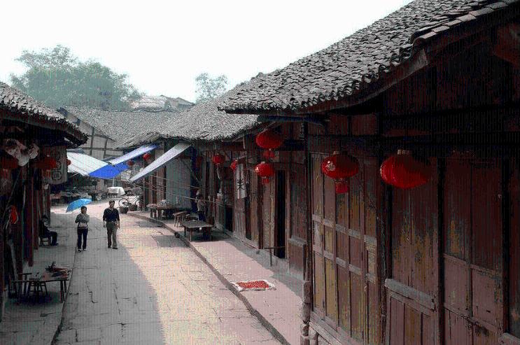 深入了解养了好几年都不开花？知识星球，解锁更多学习之门