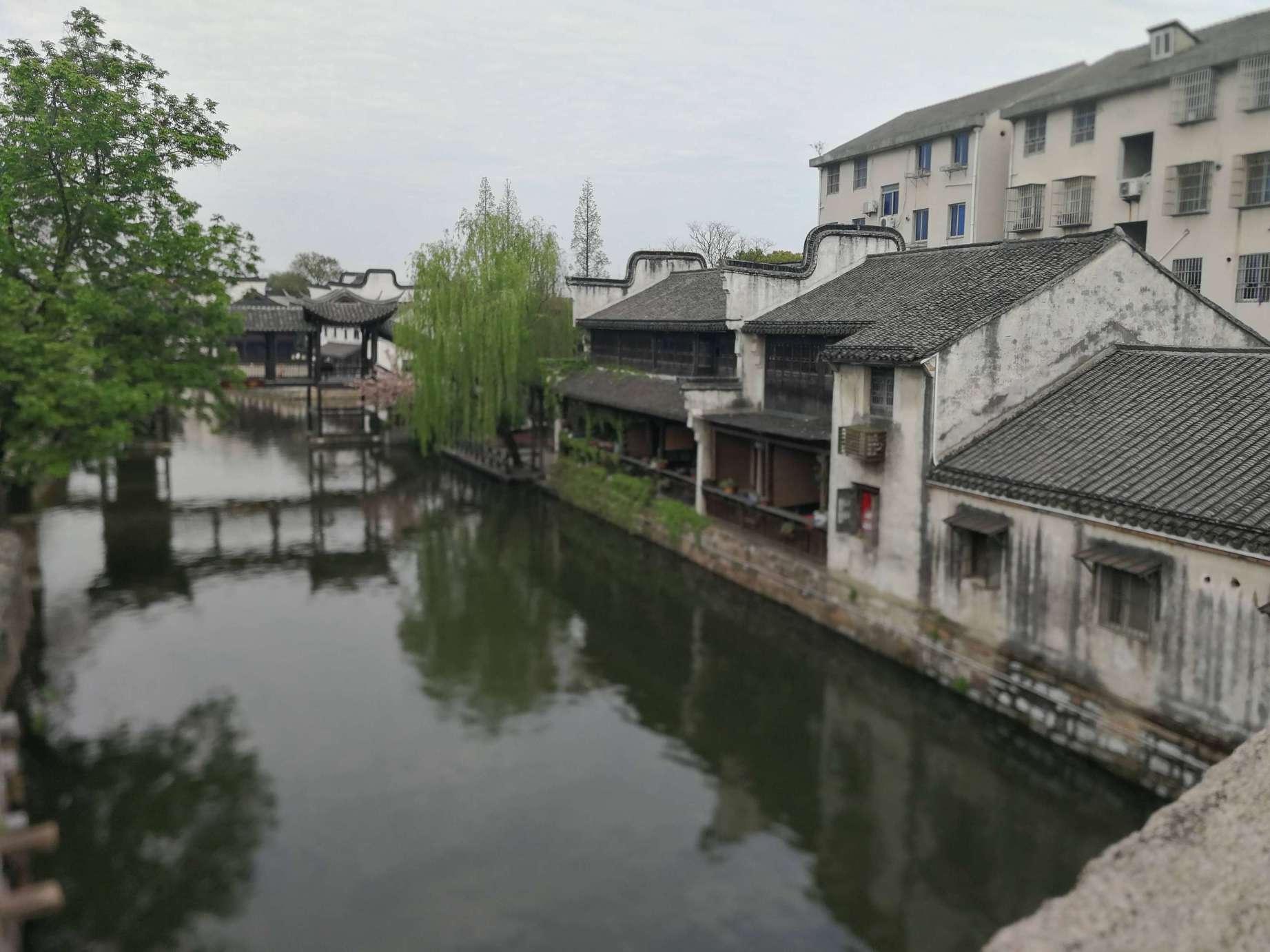 桑叶加生姜泡水喝,老一辈人留给我们的土方法,很多人都不知道